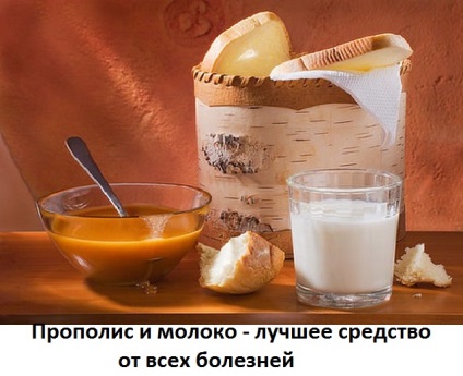 A propolisz tinktúra a tej, a használata, a helyszín a kezelések orvosok Neumyvakina, Bolotov,