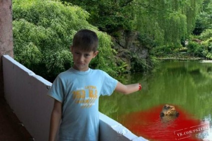 Otfotoshopte képem (40 fotó) (fotozhab) Otfotoshopte képem (40 fotó)