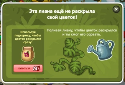 Válaszok a quest jungle és egzotikus virágokat a szer 003 shararame - Gyermek és Ifjúsági Bizottság (szőlő) Válaszok a quest jungle és egzotikus virágokat a szer 003 shararame - Gyermek és Ifjúsági Bizottság