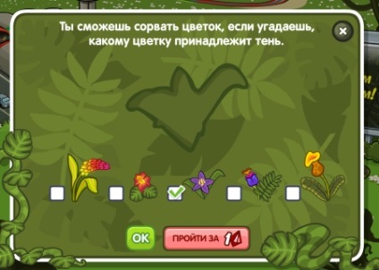 Válaszok a quest jungle és egzotikus virágokat a szer 003 shararame - Gyermek és Ifjúsági Bizottság (átjáró) Válaszok a quest jungle és egzotikus virágokat a szer 003 shararame - Gyermek és Ifjúsági Bizottság