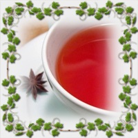 Egy egészségügyi ital ánizs tea (tea ánizs) Egészségügyi teát inni ánizs