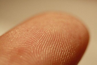 Ujjlenyomat - a genetikai kód által kibocsátott az emberi természet