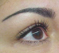 Permanent make-up típusú, technikák, előnyei, hátrányai, tartott (tetoválás) Permanent make-up típusú, technikák, érvek, ellenérvek, sok gazdaságban