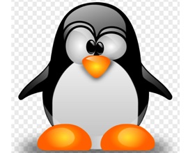 Érvek és ellenérvek a Linux operációs rendszer (Linux), az érvek és ellenérvek