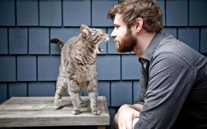 Miért macskák, mint a férfiak, miért macskák szeretik a férfiak férfiak