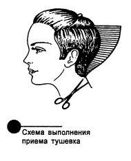 Feltételek hajvágó és terminológia (haj) Feltételek hajvágó és terminológia