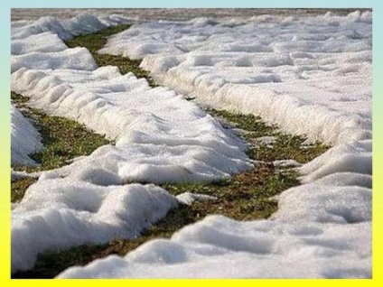 Jelek a tavasz élettelen természet (természetben előforduló) Jelei Tavaszi élettelen természet