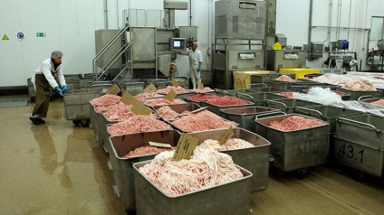 Виробництво ковбаси в домашніх умовах як бізнес