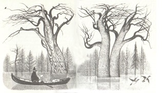 Történetek a természet a magyar írók (Nature) Történetek a természet a Magyar Írók