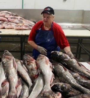 Fish üzleti hogyan lehet megnyitni a hal bolt