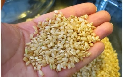 A rizskorpa - egy hasznos terméket az egész testet, hogyan kell használni a rizskorpa