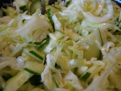 Saláta káposzta és uborka