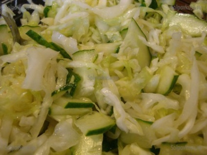 Saláta káposzta és uborka