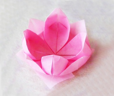 A legegyszerűbb virág origami ábrák, egyszerű és u video oktatóanyagokat