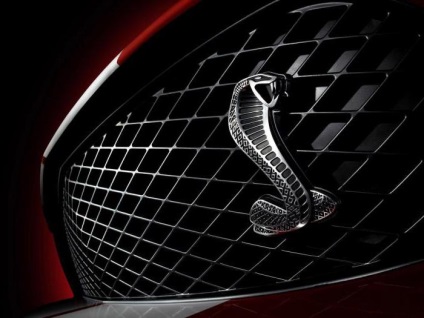 Shelby Cobra funkciók fotók (kobra) Shelby Cobra funkciók, fotók