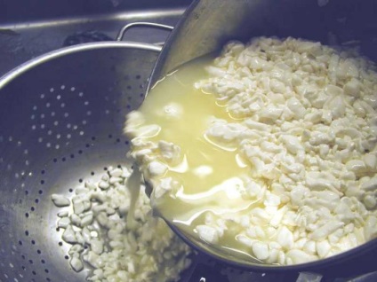 A tejsavó a sajtgyártás, mint hasznos, és hogyan kell használni - az életem