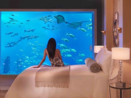 A modern design a lakás egy akvárium a nappaliban