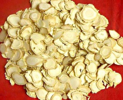 Szárított gyömbér fogyókúra alkalmazása és felhasználása (szárított gyömbér, mint lehetséges) Szárított gyömbér fogyás alkalmazások és előnyök