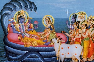 Szent állat Indiában