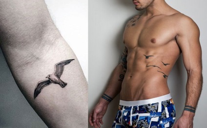 Seagull tetoválás, érték, és ahol a legjobb nézni