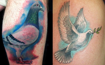 Seagull tetoválás, érték, és ahol a legjobb nézni