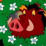 Timon és Pumbaa - nézni az összes sorozatban egy sorban, szünet nélkül, és megáll online és ingyenes (sorozat) Timon és Pumbaa - nézni az összes sorozatban egy sorban, szünet nélkül, és megáll online ingyen