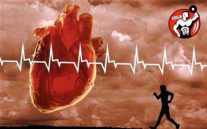 szív képzés - technikák, gyakorlatok, gyakorlati ajánlások képzés pulzus a szív,