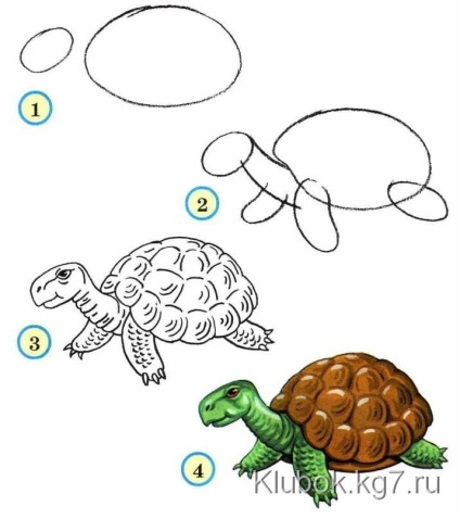 Уроки малювання для початківців малюнки тварин з кіл