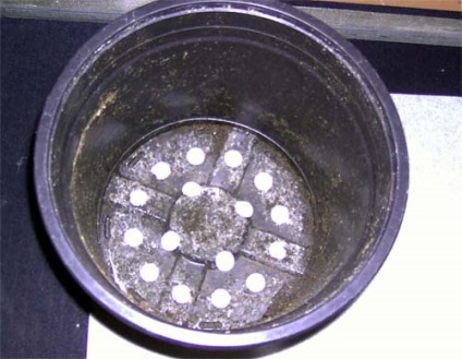 Kiválasztása a megfelelő méretű a pot (a pot) Választott a pot mérete