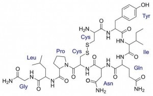 Fejlesztési anyatej prolaktin és az oxitocin, anyu hírcsatornák