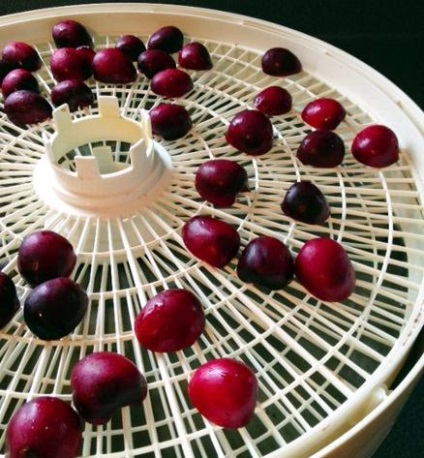 Cherry szárítjuk kemencében recept (recept) Szárított cseresznye recept a kemencében