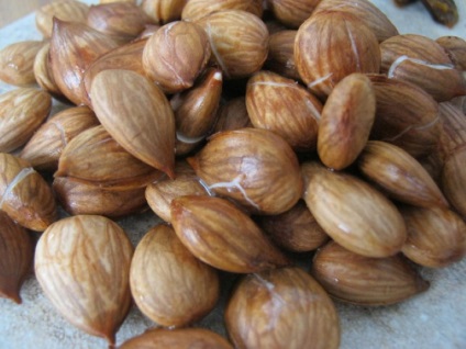 B17-vitamin - milyen termékeket tartalmaznak, harc a rák ellen (is) B17-vitamin - milyen termékeket tartalmaznak, harc a rák ellen