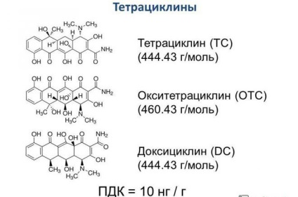 Chlamydia, mikoplazmózis, ureaplasmosis tünetek és kezelés