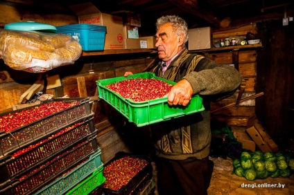 Berry üzleti hogyan áfonya