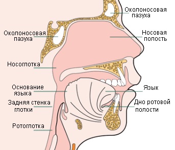 Rosszindulatú daganatok oropharynx (rákos növekedés-gátlók) Rosszindulatú daganatok a szájgarat
