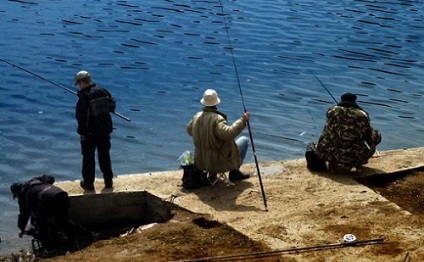 Aktivátor egy kárász hal szabály előállítására és alkalmazására