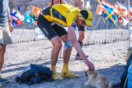 Kóbor kutya futott 100 kilométeres maratoni