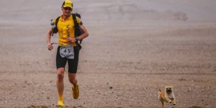 Kóbor kutya futott 100 kilométeres maratoni