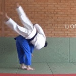 Martial judo rendszer