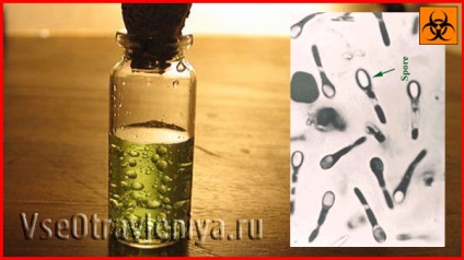 Botulinum toxin - azaz, az alkalmazás, a következmények a mérgezés (mérgezés) Botulinum toxin - azaz a használat hatásait mérgezés