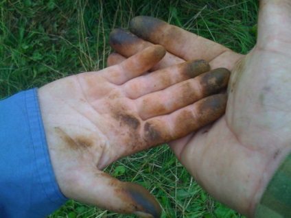 Mit és hogyan kell mosni a kezet az olaj és egyéb gombák, így a tisztítás után