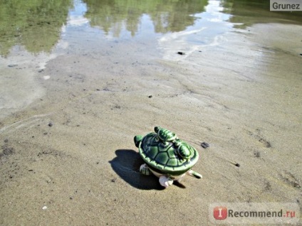 Turtle Kerámia - „lesz gazdagabb és sikeresebb kerámia teknős! Hogy az életét Feng Shui