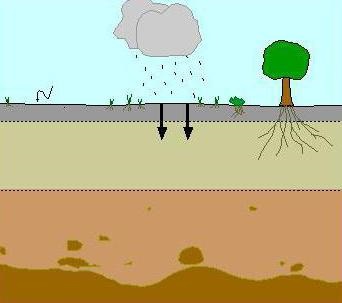 Mi az a tényező, amely a talajképződés vannak olyan tényezők, talajképződés