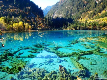 Дев'ять найдивовижніших озер світу