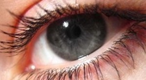 Diagnózis a szem - szem vizsgálati módszerek, az Eye Mikrosebészeti Központ