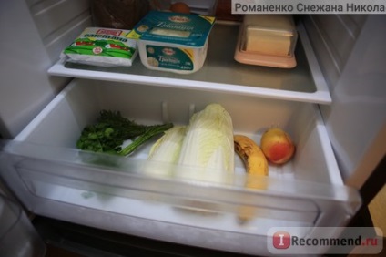 Hűtőszekrény Samsung rl 46 rsbts (mg) - «számos előnye ebben a hűtőszekrény csak