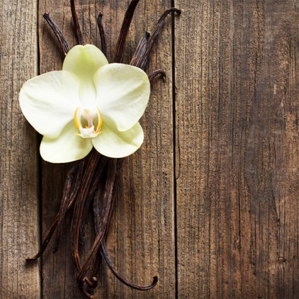 Az illóolaj vanília hasznos tulajdonságok és alkalmazások a kozmetika