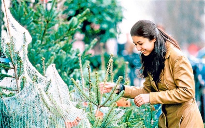 Mesterséges jegenyefenyők vagy élnek - hogyan válasszuk ki a karácsonyfa az új évet