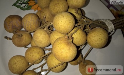 Longan gyümölcs - „longan - édesség, fényes illata sperma és az alkohol utóíze! sok
