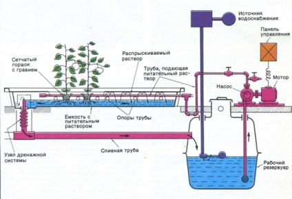 Hogyan és mit lehet megtermékenyíteni hidroponikus termesztési technikák (megtermékenyítő) Hogyan és mit lehet megtermékenyíteni hidroponikus termesztési technikák